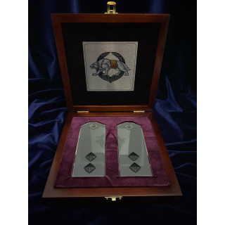 🎖️ СУВЕНІРНІ ПОГОНИ