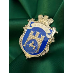 Значки-герби областей