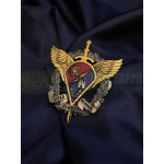 Заохочувальні нагороди Десантно-штурмових військ (ДШВ ЗСУ)