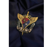 Заохочувальні нагороди Десантно-штурмових військ (ДШВ ЗСУ)