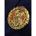 Заохочувальні нагороди ДСНС