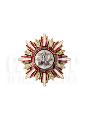 Нагрудний знак "Ветеранська Слава. КОБРА. 20 років" 60х60х3мм (23525)