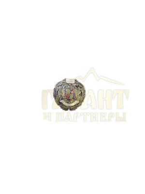 Нагрудний знак "Дніпровська Січ" (00532)