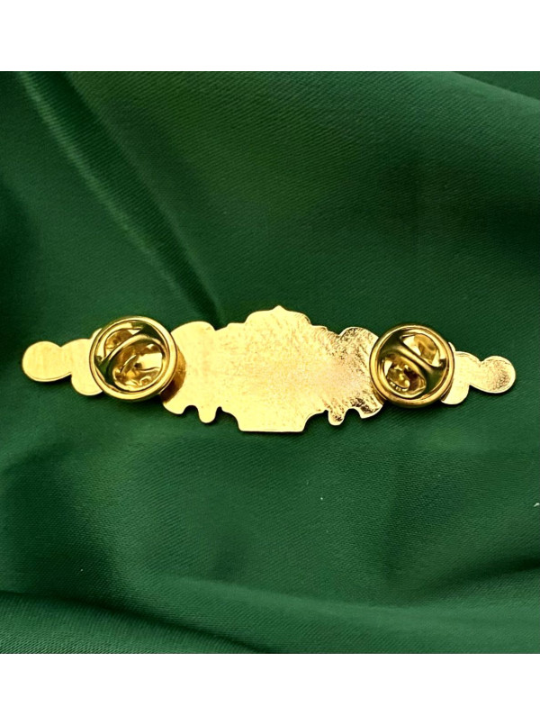 Нагрудний знак класності ДПСУ 6,7х17мм (00516)