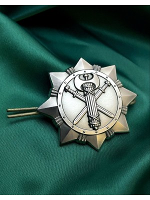 Беретний знак "Військової служби правопорядку" 50х50х2 мм (24928)