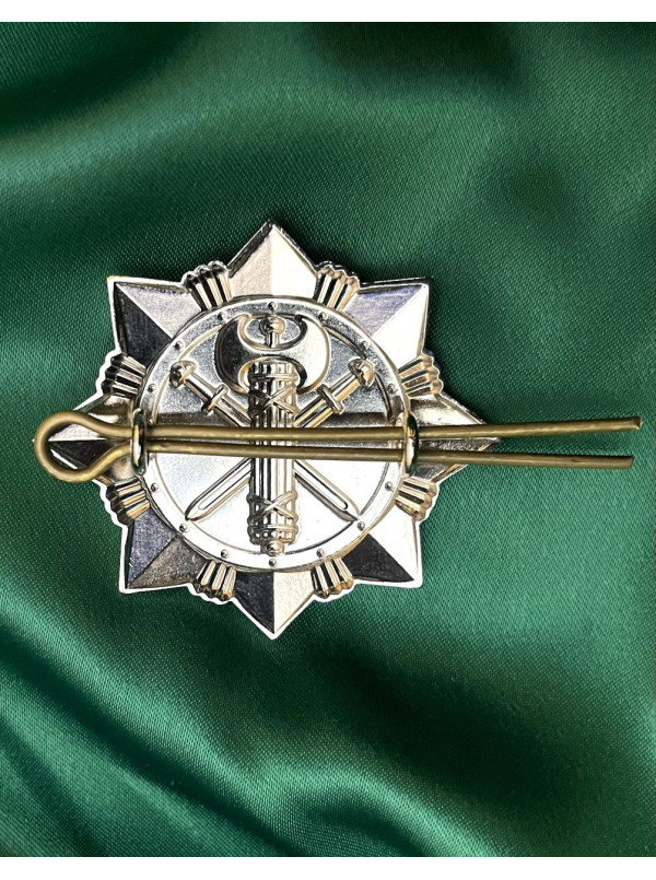 Беретний знак "Військової служби правопорядку" 50х50х2 мм (24928)