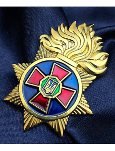 Знак «НГУ» (28324)
