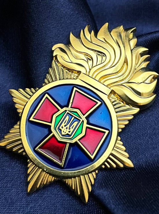 Знак «НГУ» (28324)