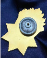 Знак «НГУ» (28324)