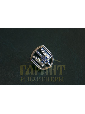 Значок СБУ "Альфа" (01817)