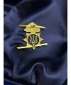 Беретний знак "НГУ з полум'ям" 62х45х3 мм (25322)