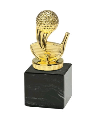 Кубок FT TAC 100 gold (20847)