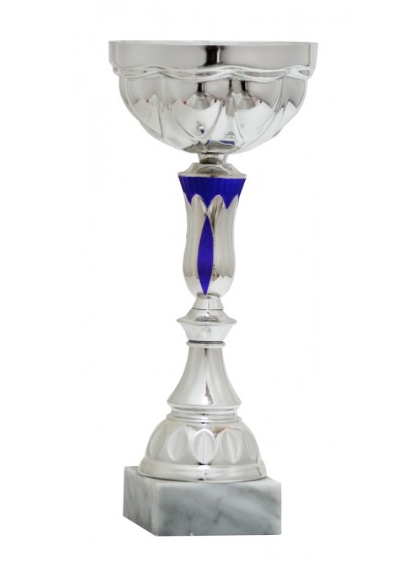 Кубок К2 453