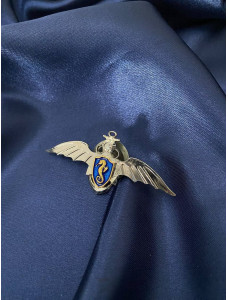 Нагрудний знак "Бойовий плавець спеціального призначення" ВМСУ 70х31х2,0 мм (00761)