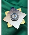 Нагрудний знак "За службу Вітчизні" 58х58 мм (24072)
