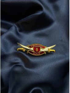 Нагрудний знак "Знак класності НГУ. 1 ступінь" (22579)