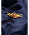 Нагрудний знак "Знак класності НГУ. Майстер" (22578)