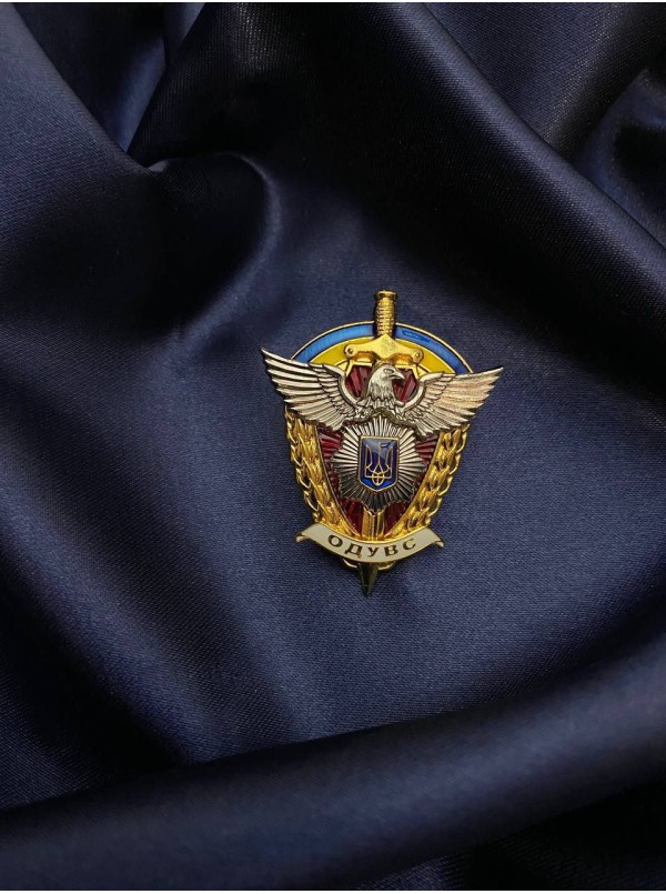 Нагрудний знак "ОДУВС" (01316)