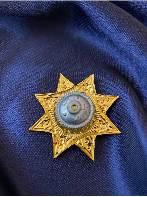 Нагрудний знак "Честь і слава. ДСНС" 50х50х2,0 мм (14966)