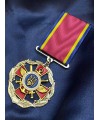 Нагрудний знак «За доблесну військову службу Батьківщині» (відомча нагорода) (31252)