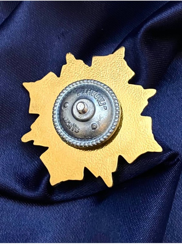 Нагрудний знак "За воїнську доблесть" 46х46 мм(24067)
