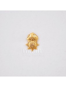 Фрачник "НГУ" (25146)
