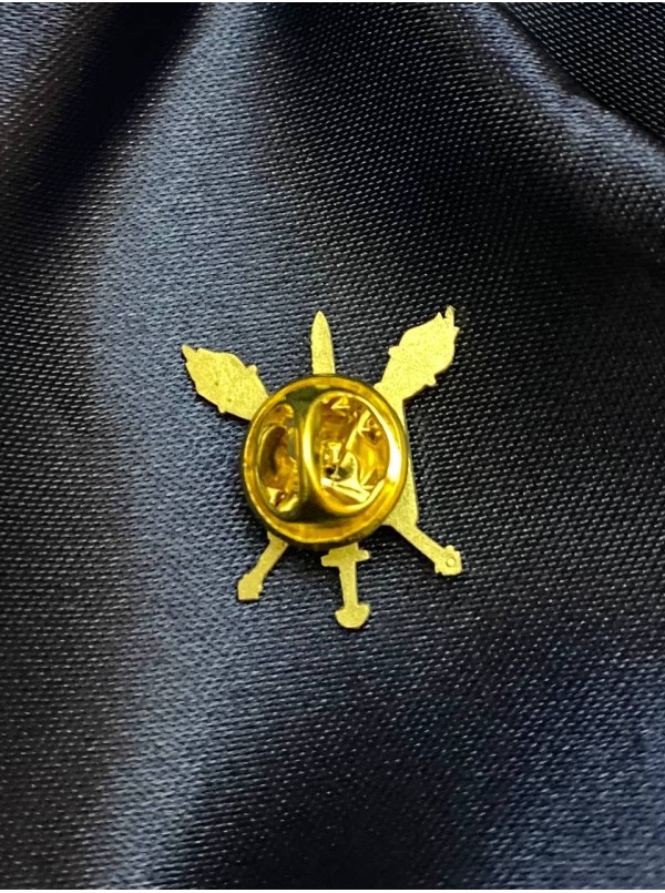 Знак розрізнення до погонів ліцеїстів військових ліцеїв