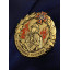 Нагрудний знак "За бездоганну службу" 50х50х3 мм (33746)