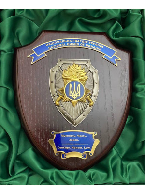 Плакетка №1 НГУ 170х200 мм (24989)
