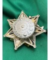 Нагрудний знак "Зірка пошани" Служба судової охорони 50*50 мм (31493)