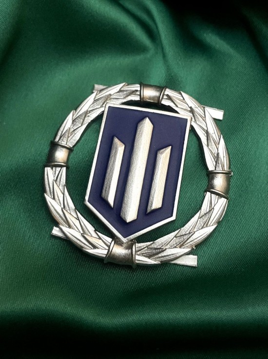 Беретний знак ДБР 50х50 мм (35449)