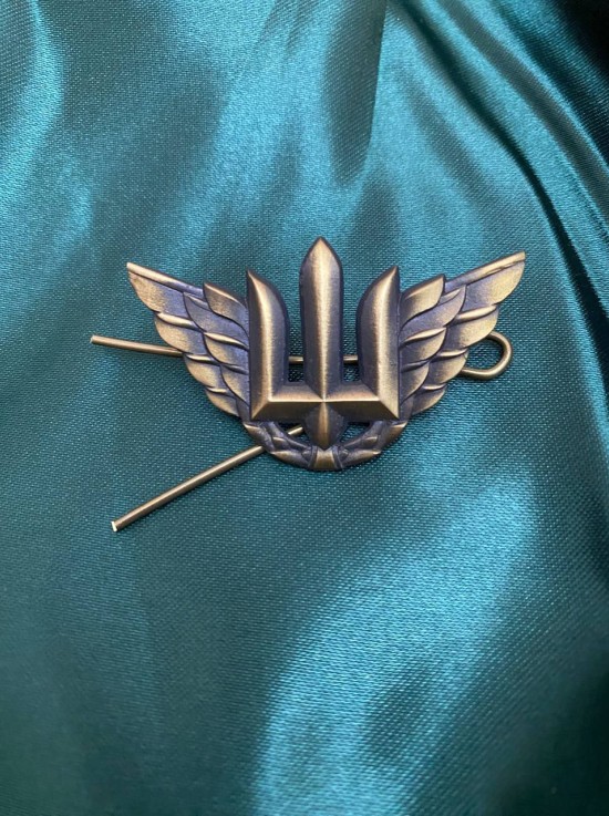 Беретний знак "Повітряних військ" 55х32 мм (25058)