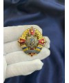 Нагрудний знак "За відзнаку в службі" МВС 45 x 45 мм (05621)