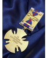 Нагрудний знак "За сприяння державній охороні України" УДО 46х46х3мм (33740)