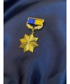 Медаль Лицар Українського козатцтва (22560)