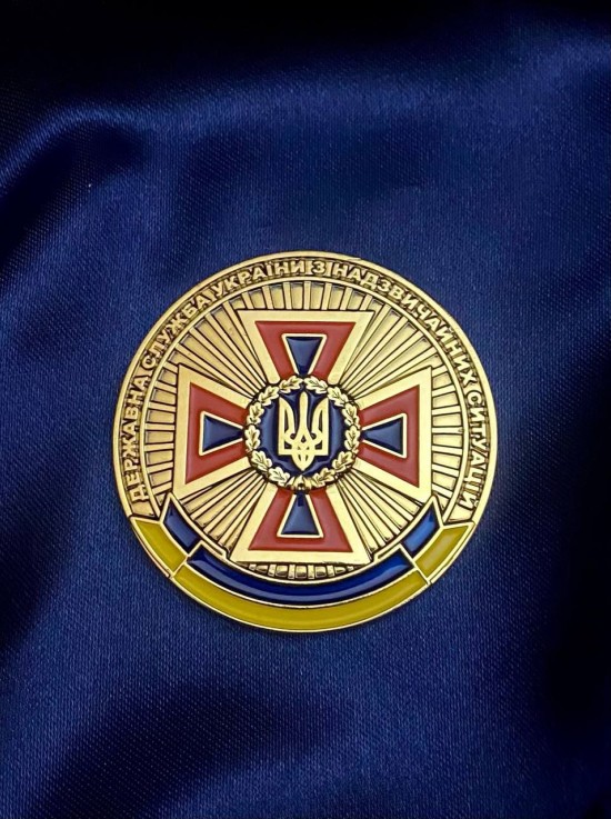 Монета "ДСНС" 50 мм (24707) 