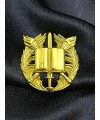 Знак розрізнення до погон курсантів вищих військових навчальних закладів (32757)