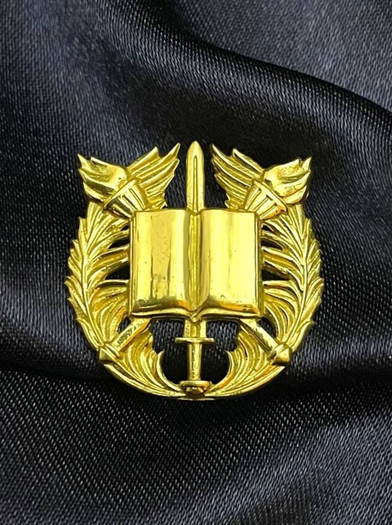 Знак розрізнення до погон курсантів вищих військових навчальних закладів (32757)