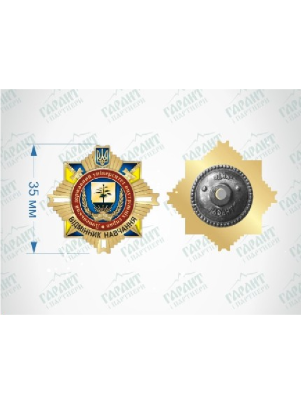 Значок "Відмінник навчання ДонДУВС" (37027)