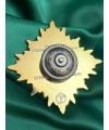 Нагрудний знак "Почесний знак ПАП ОВСУ" 1 ступінь 50х50х3 мм (00617)
