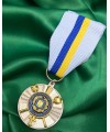 Медаль Оперативно-тактичне угруповання Суми (34987)