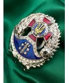 Нагрудний знак "Відмінник служби" Пенітенціарна служба (00175)