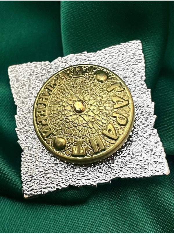 Нагрудний знак За сприяння ГУНП в Миколаївській обл. 50мм  (32147)