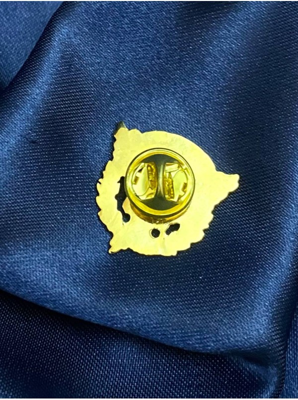 Значок "Аеродром Київ-Південний" Значок 24х25мм (11876)