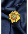Значок ДДУВС 25мм (34243)