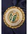 Нагрудний знак 
