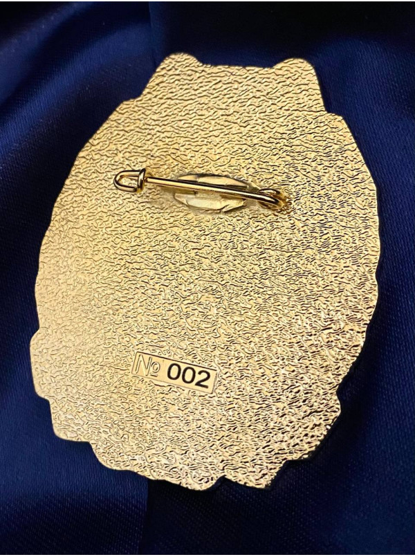 Нагрудний знак 