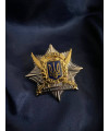 Нагрудний знак 