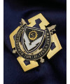 Нагрудний знак "10 арсенал сил логістики ЗСУ"_45мм (38928)