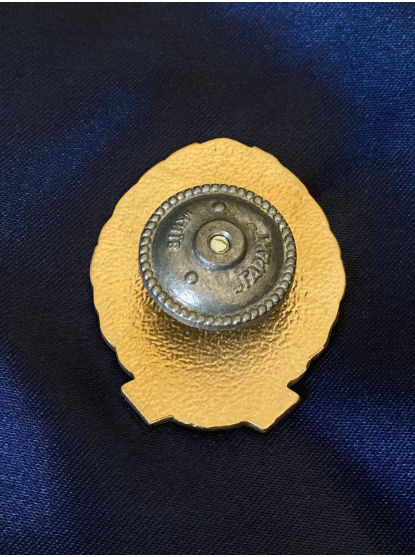 Нагрудний знак "Луганський військовий ліцей"_32х40х2 мм (25188)